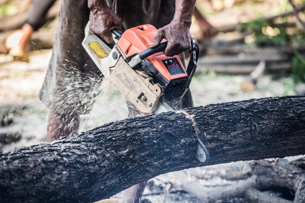 Closeup shot of a male cutting large wooden logs